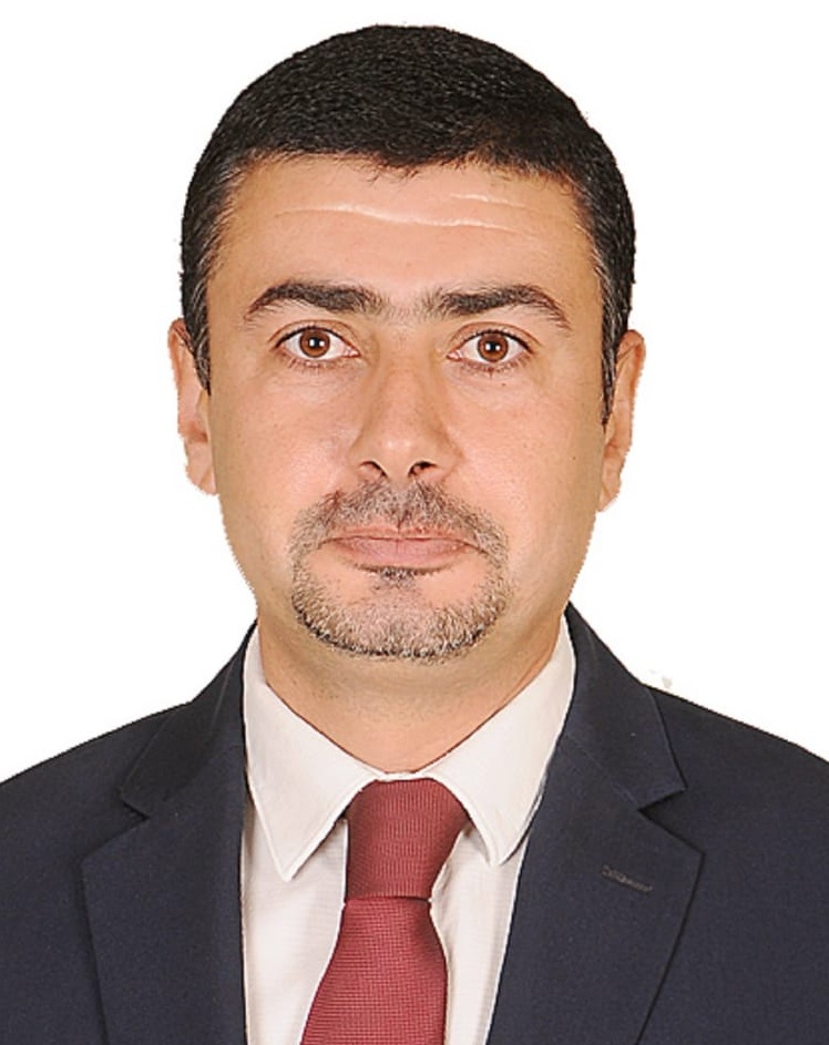 Prof. Emad Hashish